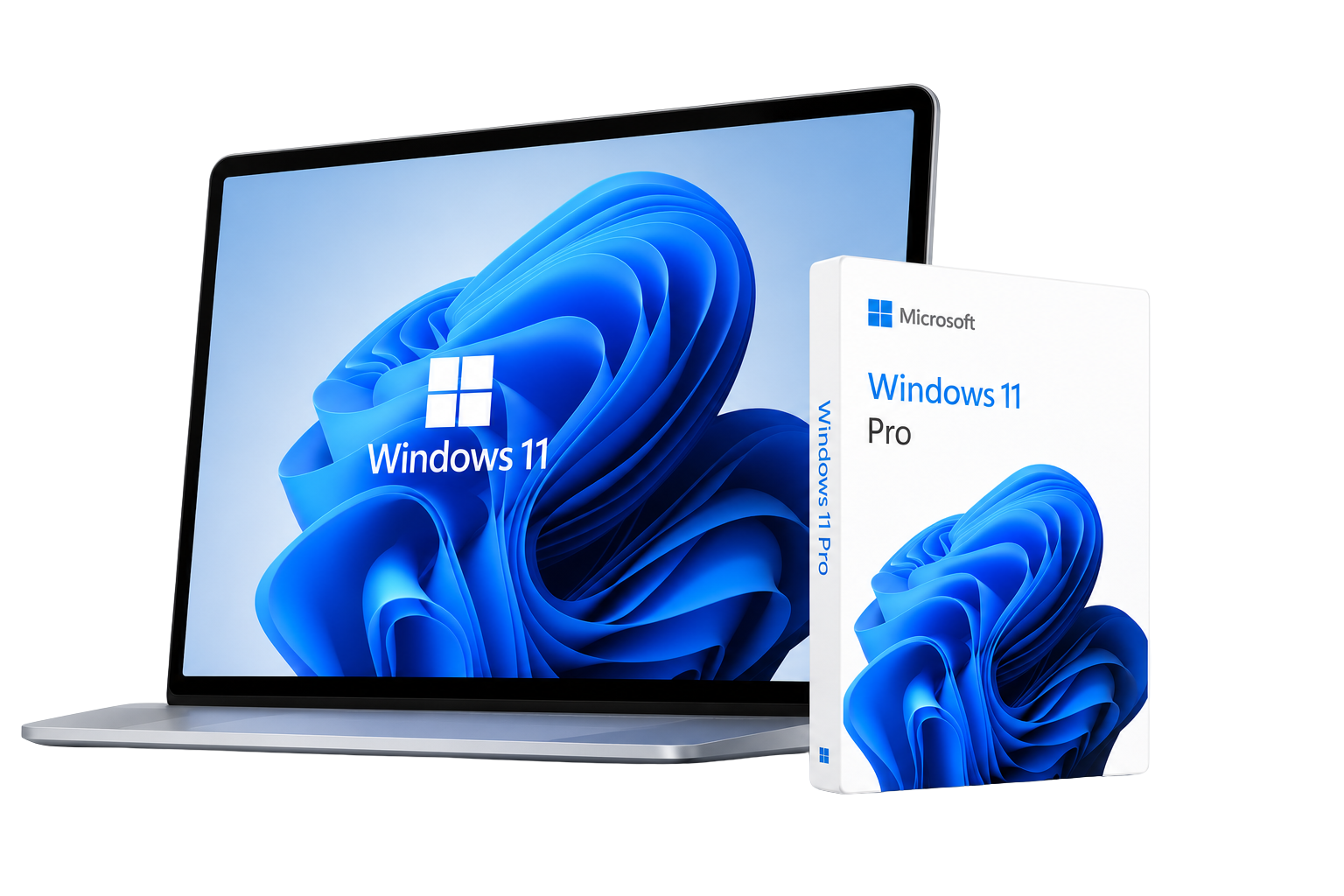 Home Windows 11 Pro
